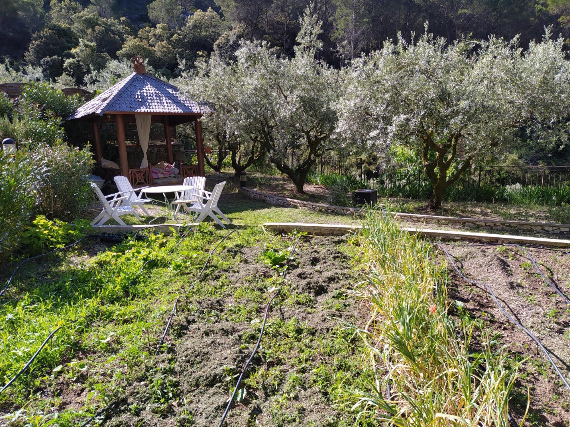 Le Frangipanier Hotell Le Barroux Rum bild